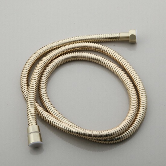 Geborsteld gouden slang 0