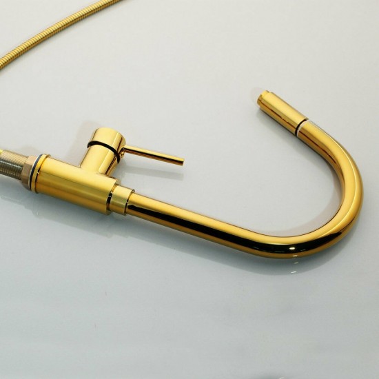 Kraan voor de keuken met uittrekbare sproeikop in het goud