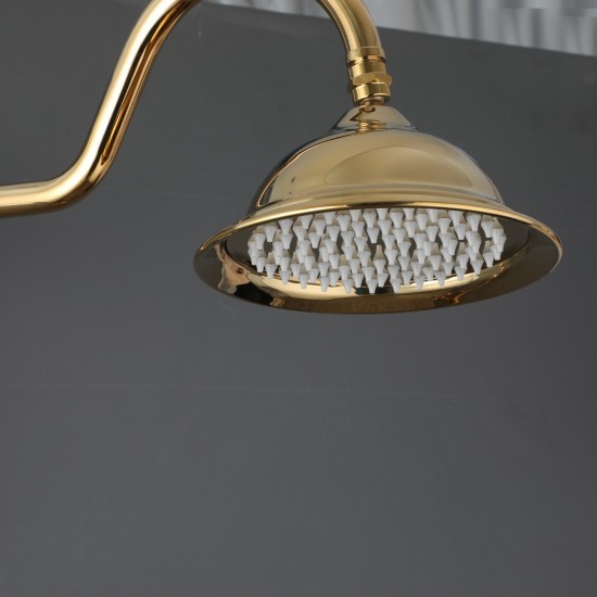 Landelijke goudkleurige opbouw regendouche 16