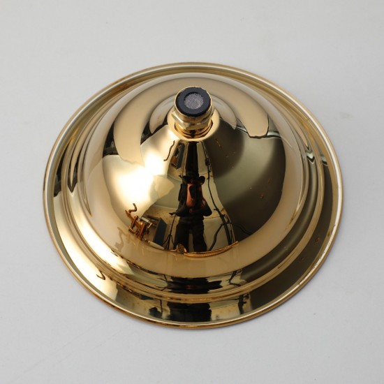 Landelijke goudkleurige opbouw regendouche 8