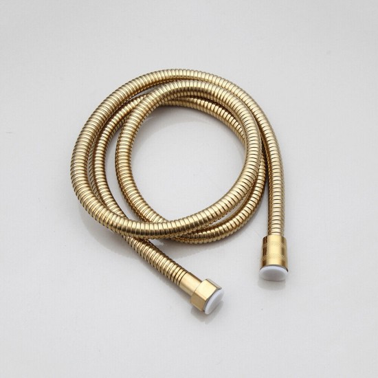 Slang bidet sproeier goudkleurig