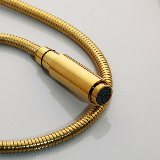 Sproeikop gouden keukenkraan